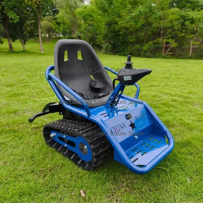 China Factory Kids Zoo Electri - Kids Outdoor Zoo recensione e prezzo