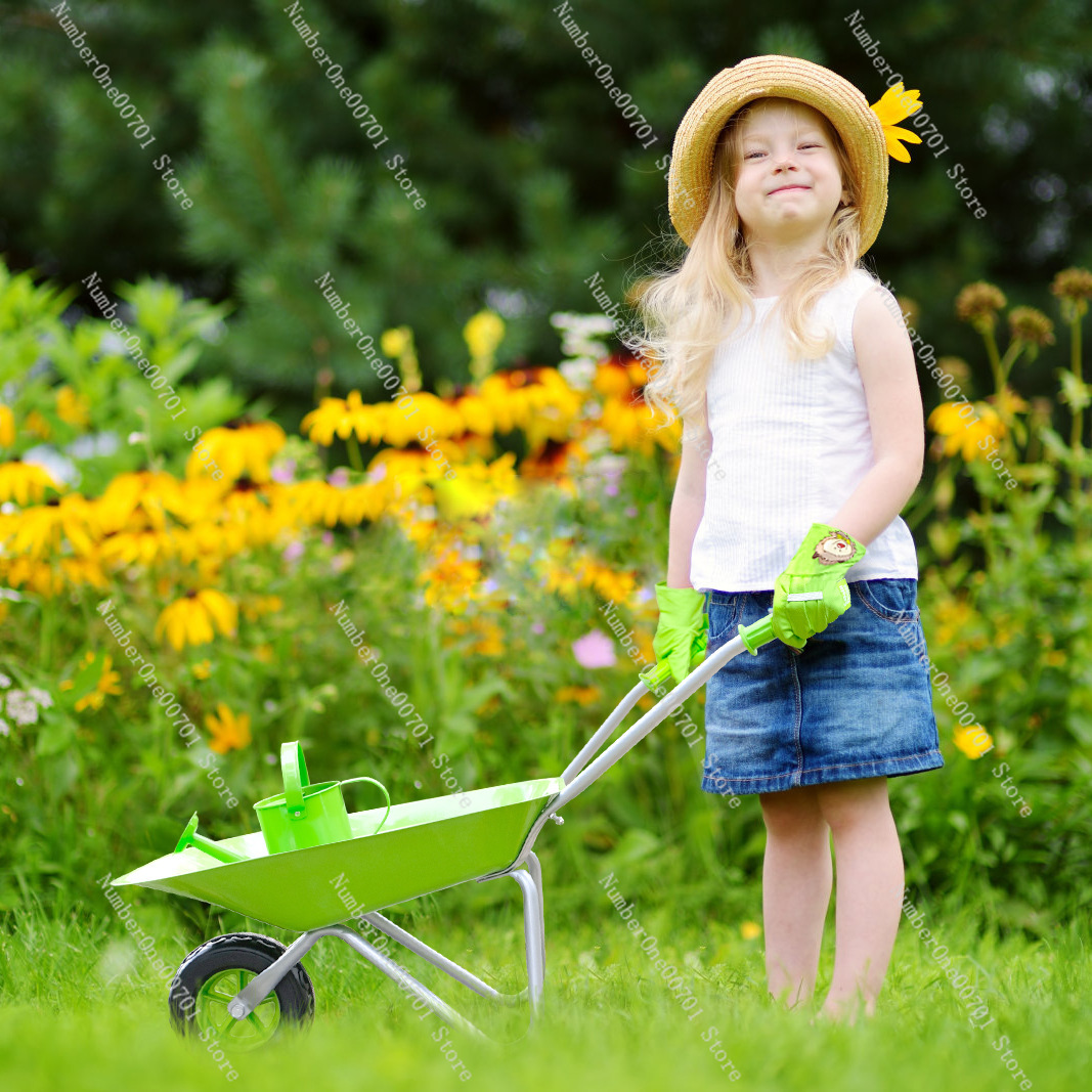 Kids Outdoor Wheelbarrow, Gree - Kids Outdoor Activity Set recensione e prezzo